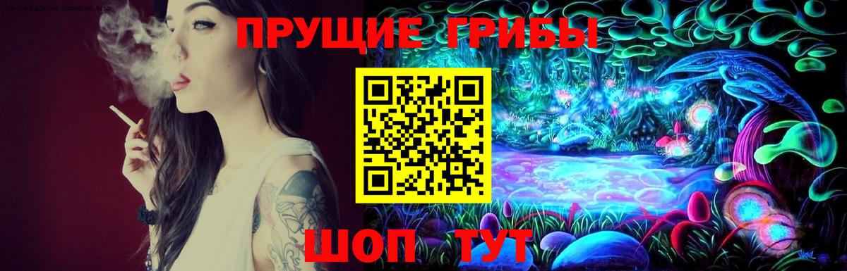 Галлюциногенные грибы GOLDEN TEACHER  Вход с VPN  Сургут 
