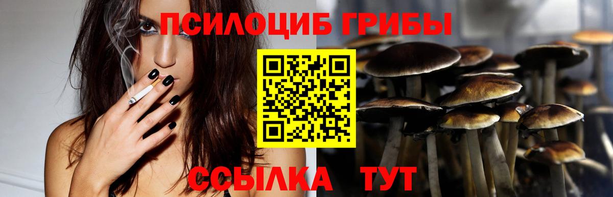 Псилоцибиновые грибы Magic Shrooms Сургут